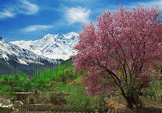 Skardu Velley Blossom Tours
 view from base camp
